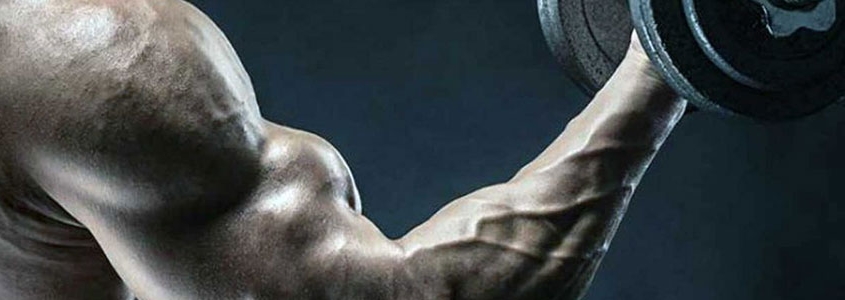 6 حرکت برای ساخت بازوها